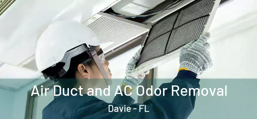 Air Duct and AC Odor Removal Davie - FL
