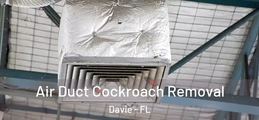 Air Duct Cockroach Removal Davie - FL