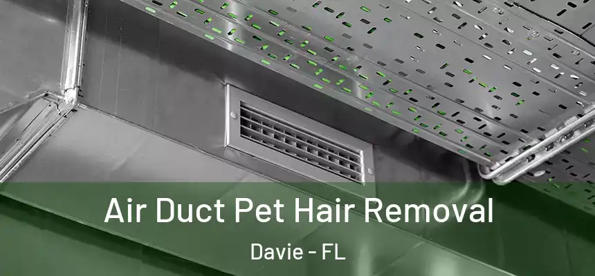 Air Duct Pet Hair Removal Davie - FL
