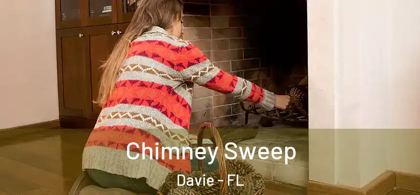 Chimney Sweep Davie - FL