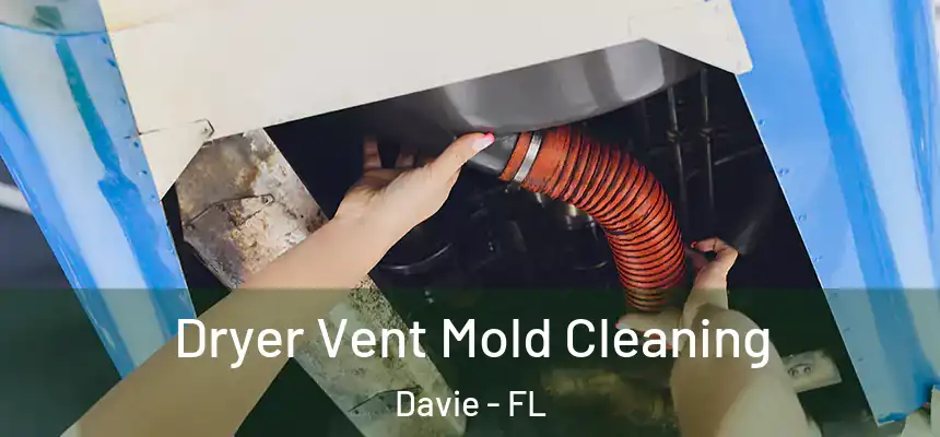 Dryer Vent Mold Cleaning Davie - FL