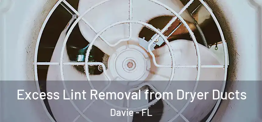 Excess Lint Removal from Dryer Ducts Davie - FL