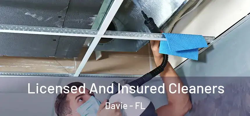 Licensed And Insured Cleaners Davie - FL