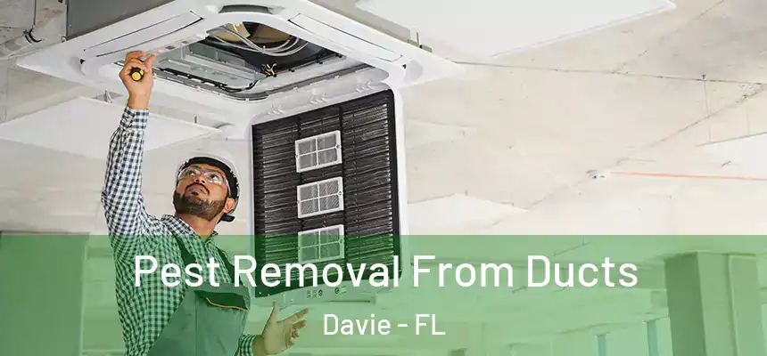 Pest Removal From Ducts Davie - FL