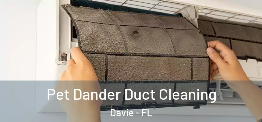 Pet Dander Duct Cleaning Davie - FL